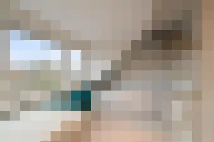 Verzetlaan 146 Schagen thumbnail 29