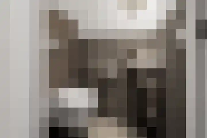 Verzetlaan 146 Schagen thumbnail 6