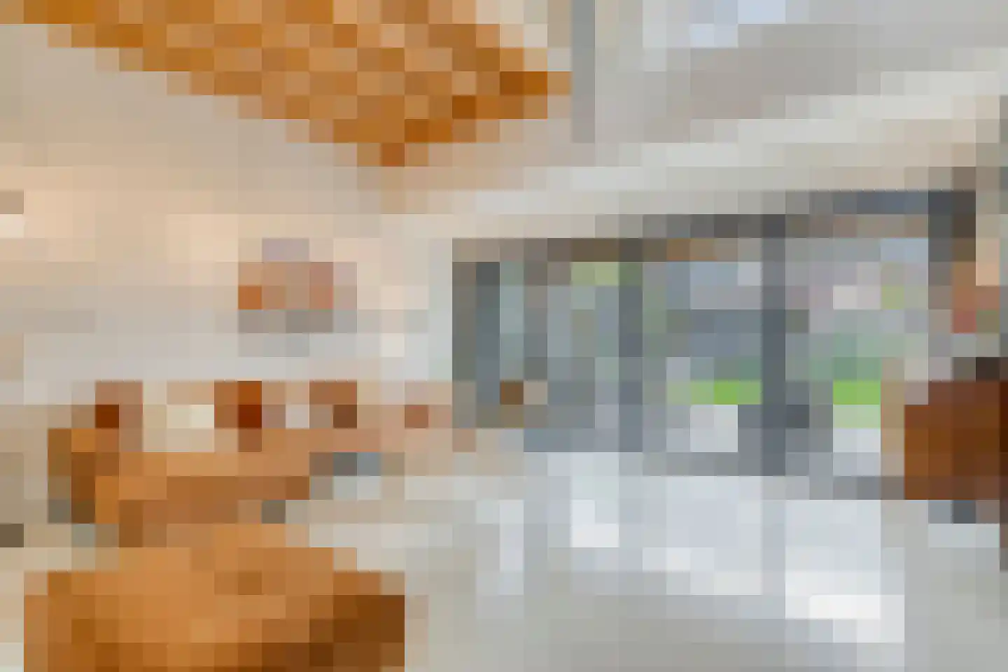 Verzetplein 1 Zuidoostbeemster thumbnail 13