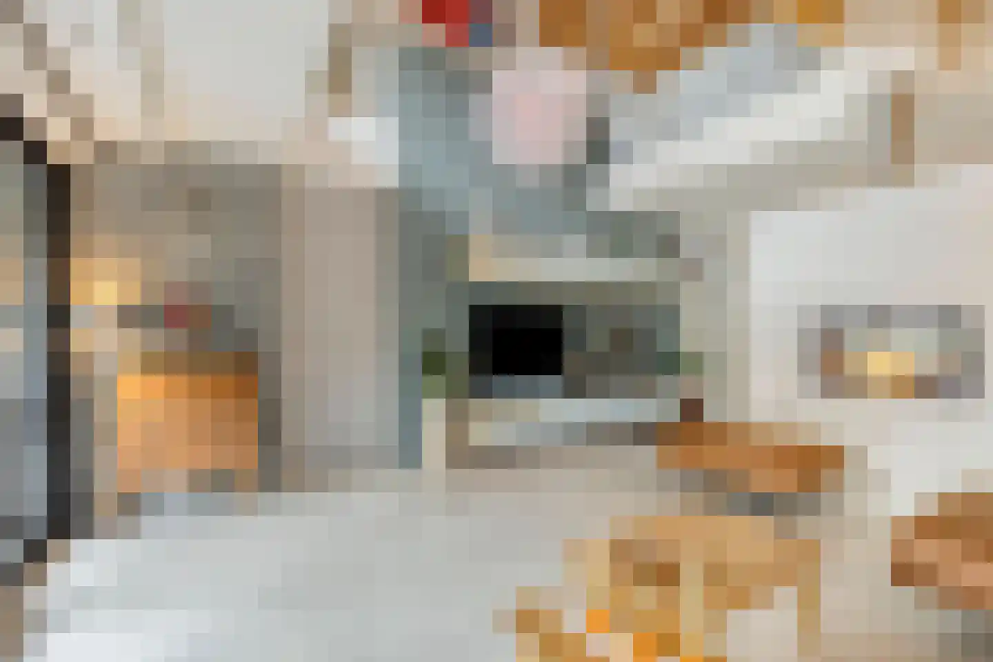 Verzetplein 1 Zuidoostbeemster thumbnail 17