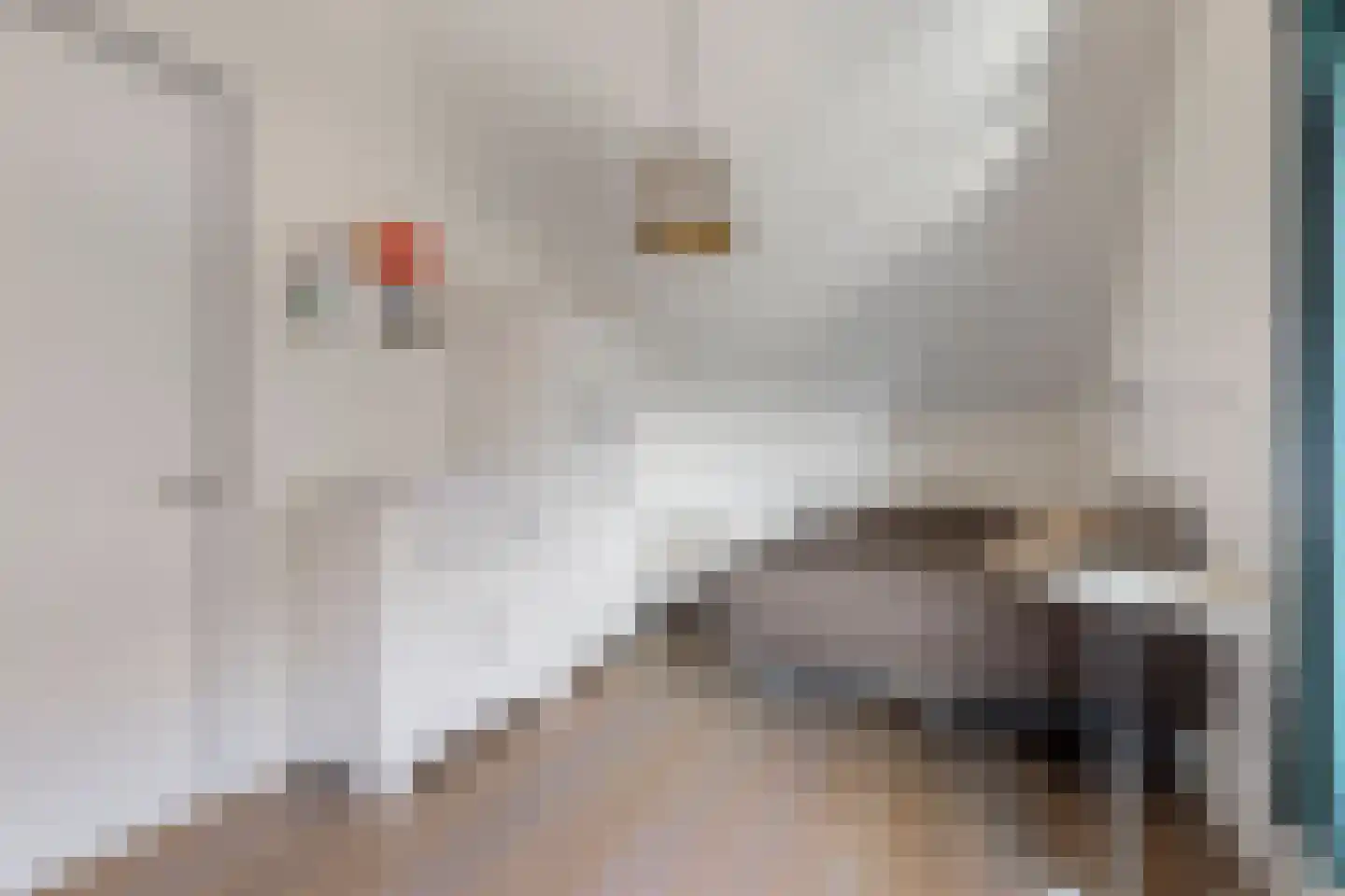 Verzetplein 1 Zuidoostbeemster thumbnail 34