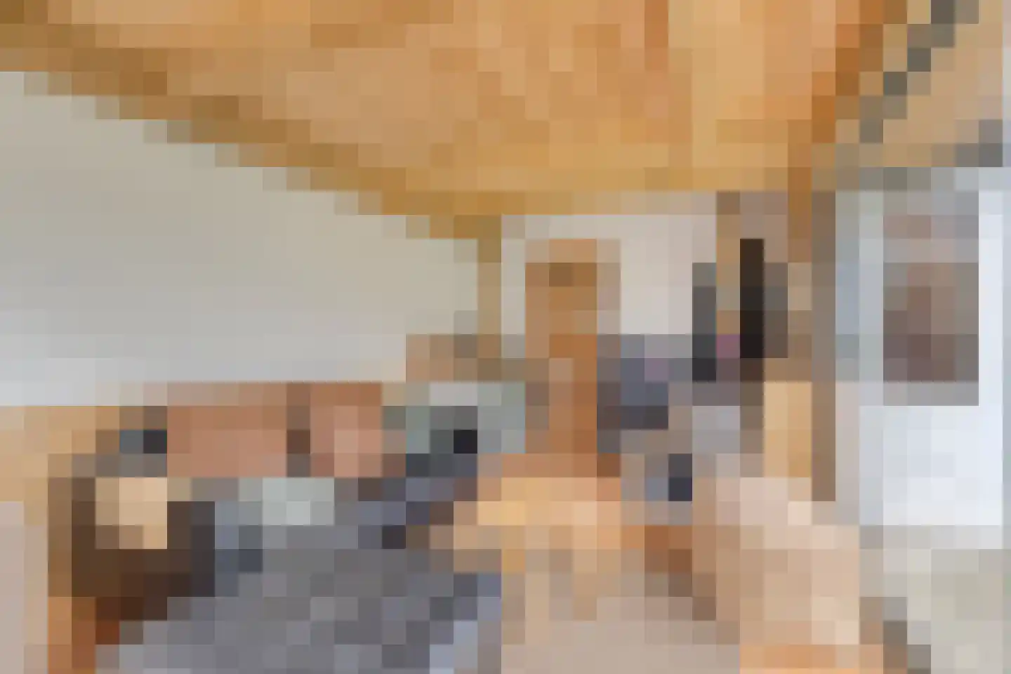 Verzetplein 1 Zuidoostbeemster thumbnail 45