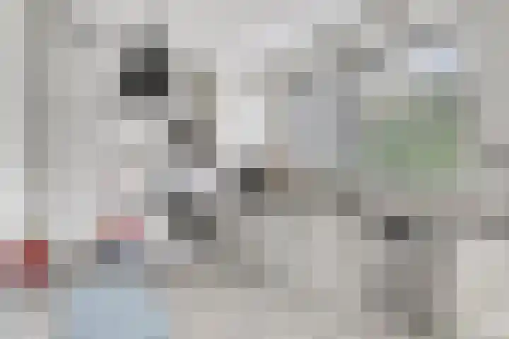 Verzetsheldenlaan 19 Eindhoven thumbnail 15