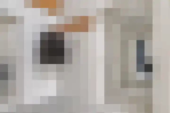 Verzetsheldenlaan 19 Eindhoven thumbnail 21