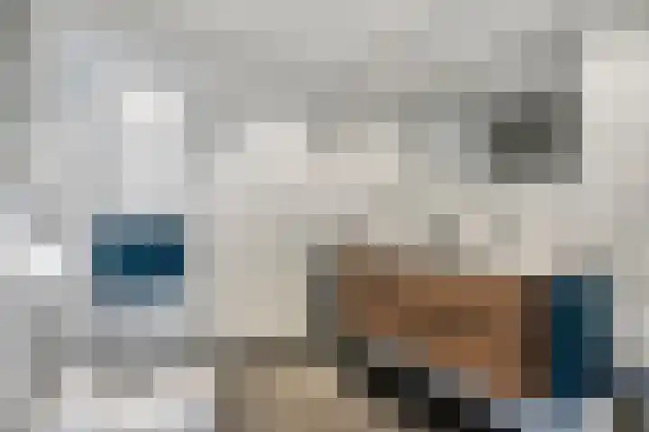 Verzetsheldenlaan 19 Eindhoven thumbnail 27