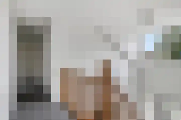 Verzetsheldenlaan 19 Eindhoven thumbnail 30