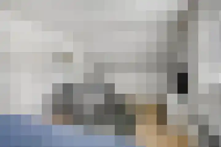 Verzetsheldenlaan 19 Eindhoven thumbnail 32