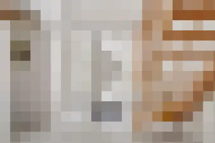 Verzetsheldenlaan 19 Eindhoven thumbnail 4