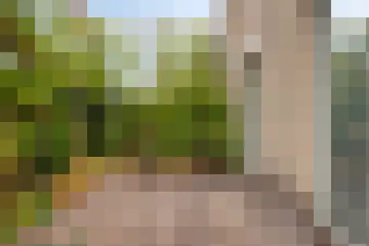 Verzetsheldenlaan 19 Eindhoven thumbnail 43