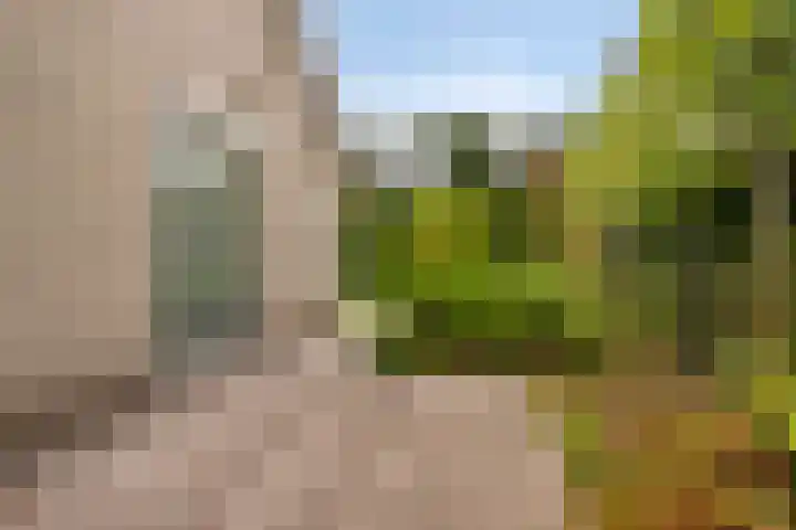 Verzetsheldenlaan 19 Eindhoven thumbnail 44