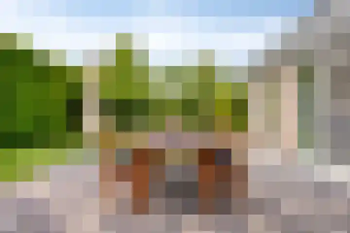 Verzetsheldenlaan 19 Eindhoven thumbnail 47