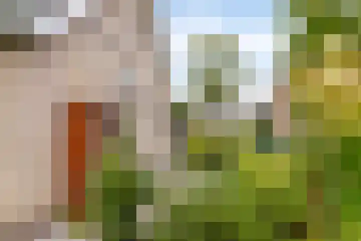 Verzetsheldenlaan 19 Eindhoven thumbnail 50