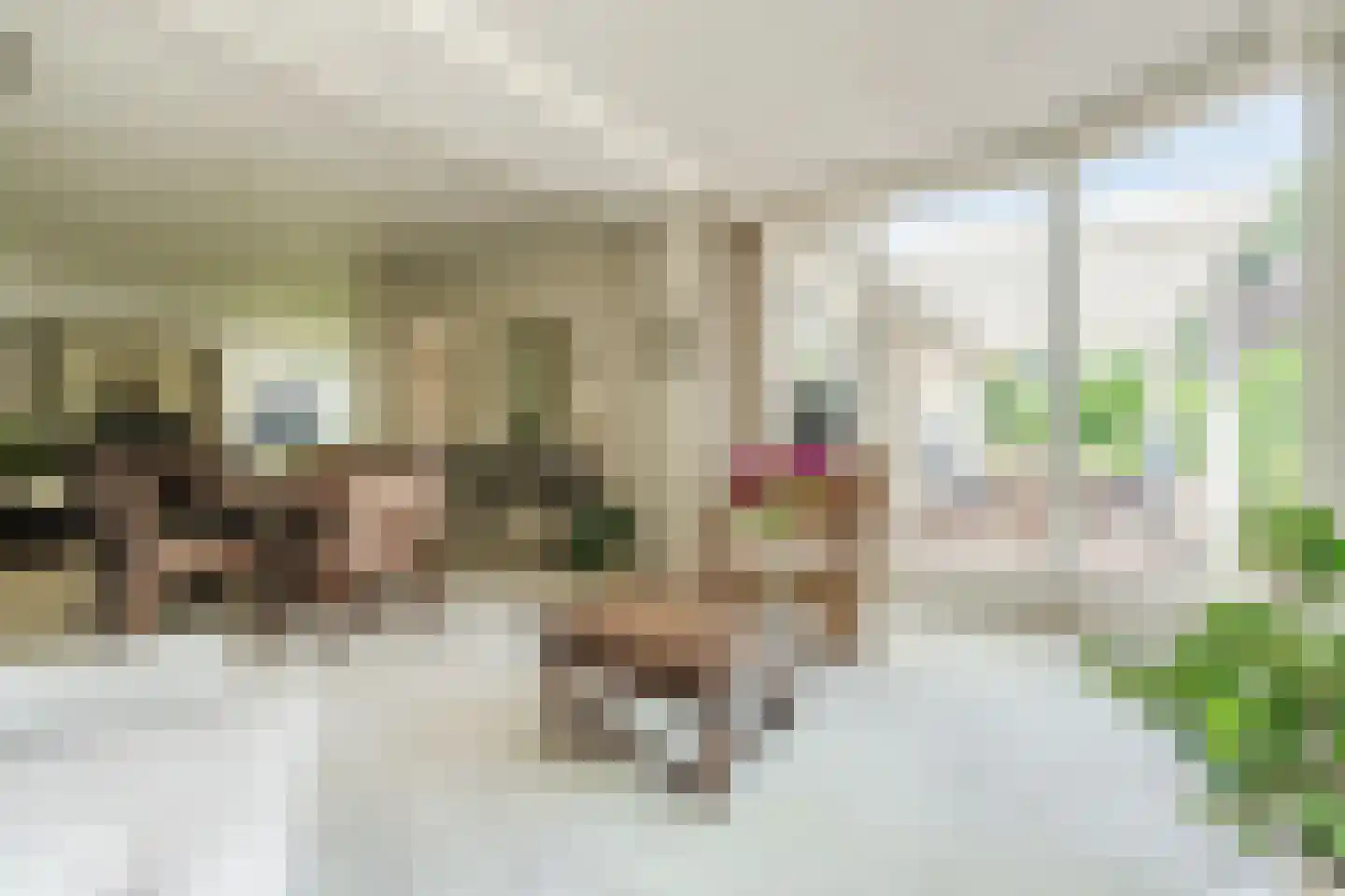 Verzetsheldenlaan 4 Eindhoven thumbnail 19