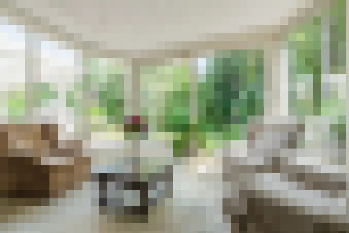 Verzetsheldenlaan 4 Eindhoven thumbnail 20