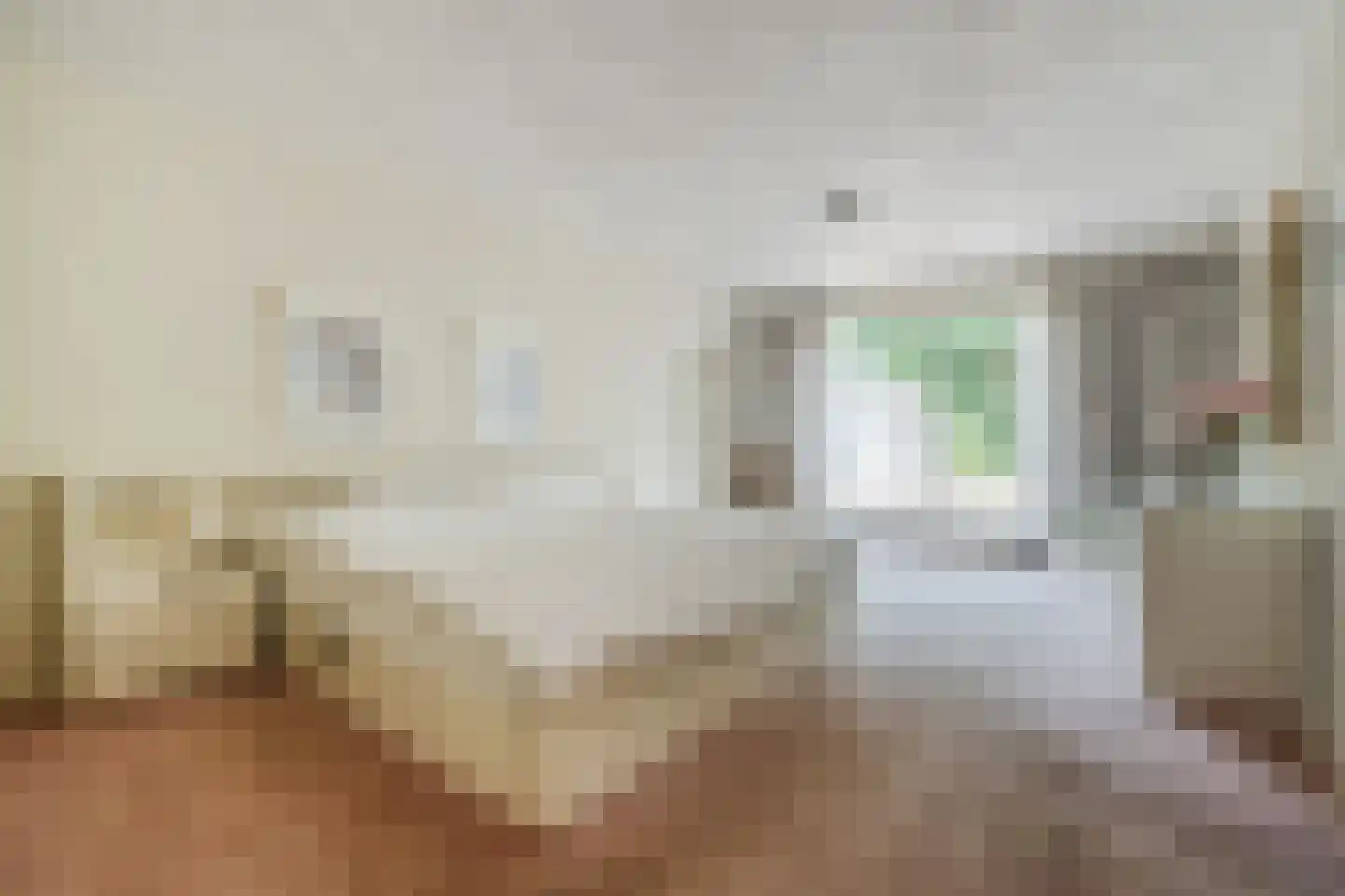 Verzetsheldenlaan 4 Eindhoven thumbnail 30