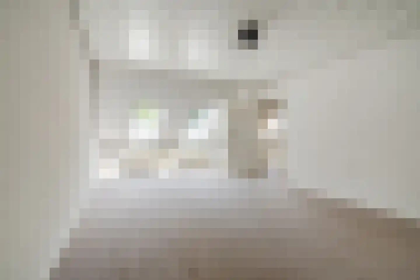 Verzetsheldenlaan 4 Eindhoven thumbnail 50
