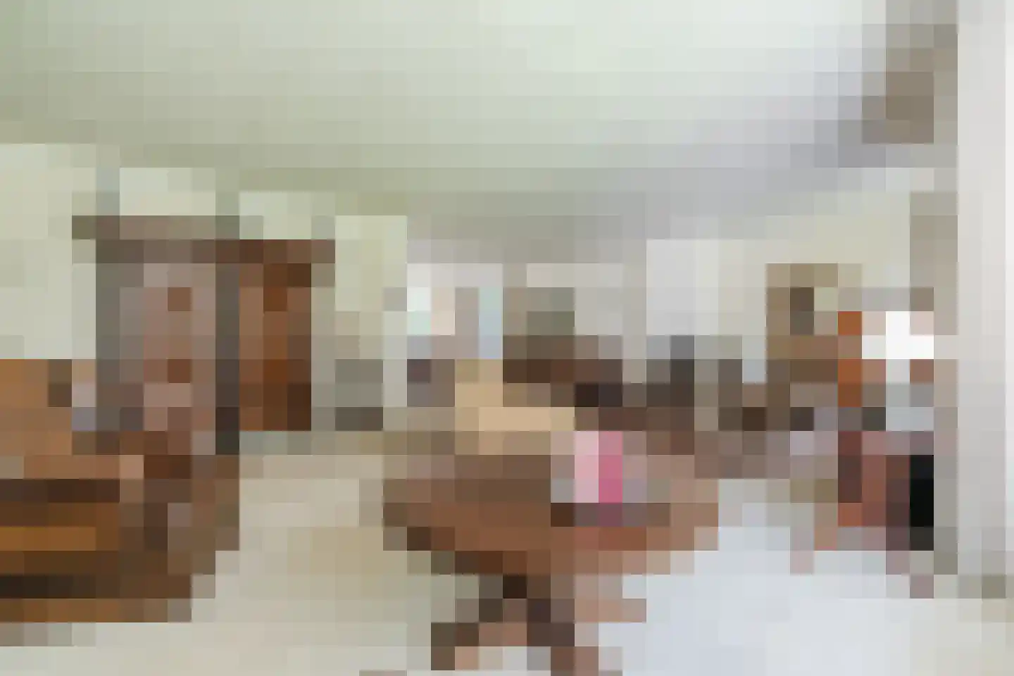 Verzetsheldenlaan 4 Eindhoven thumbnail 6