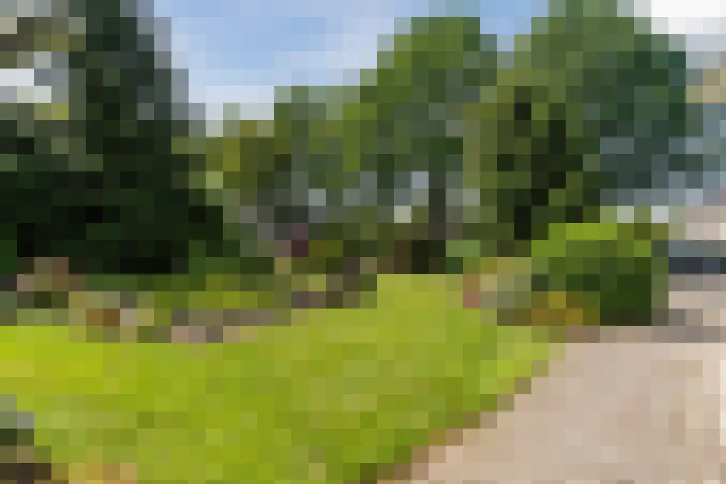 Verzetsheldenlaan 4 Eindhoven thumbnail 69