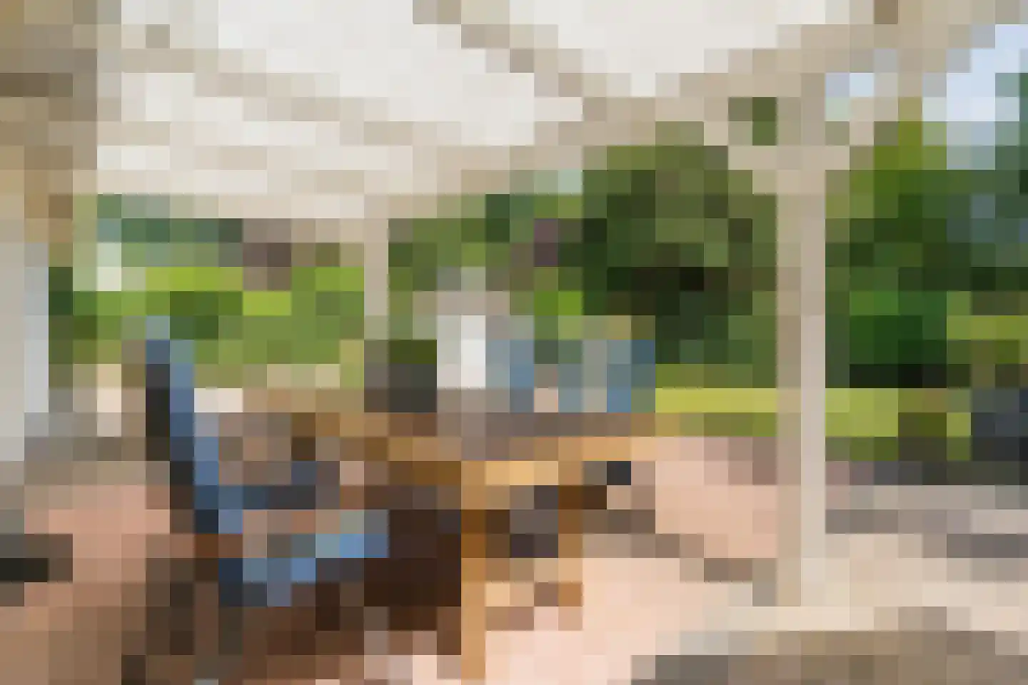Verzetsheldenlaan 4 Eindhoven thumbnail 71