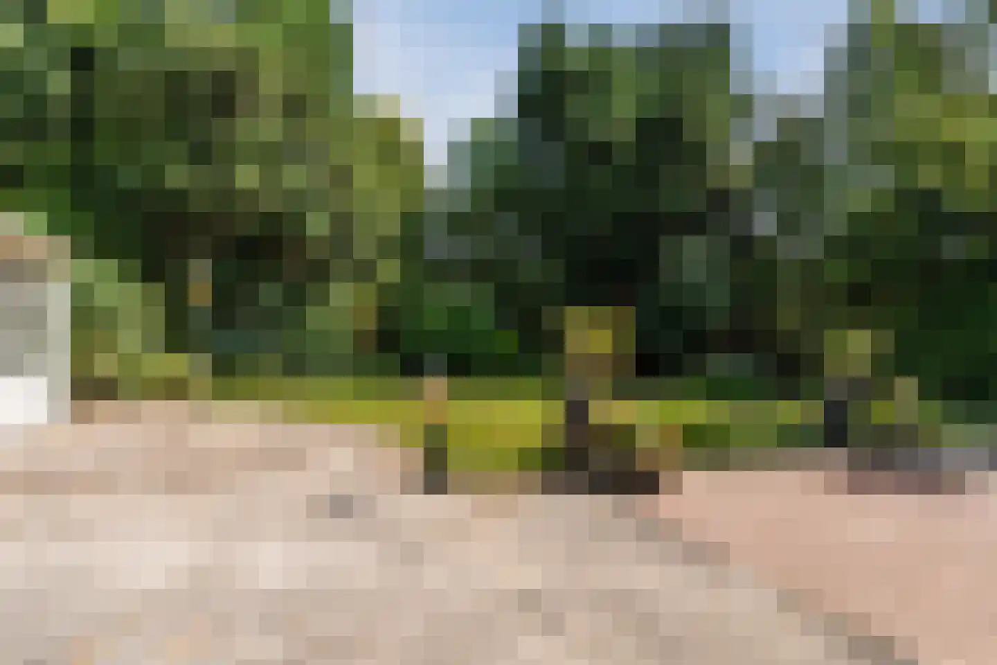Verzetsheldenlaan 4 Eindhoven thumbnail 75