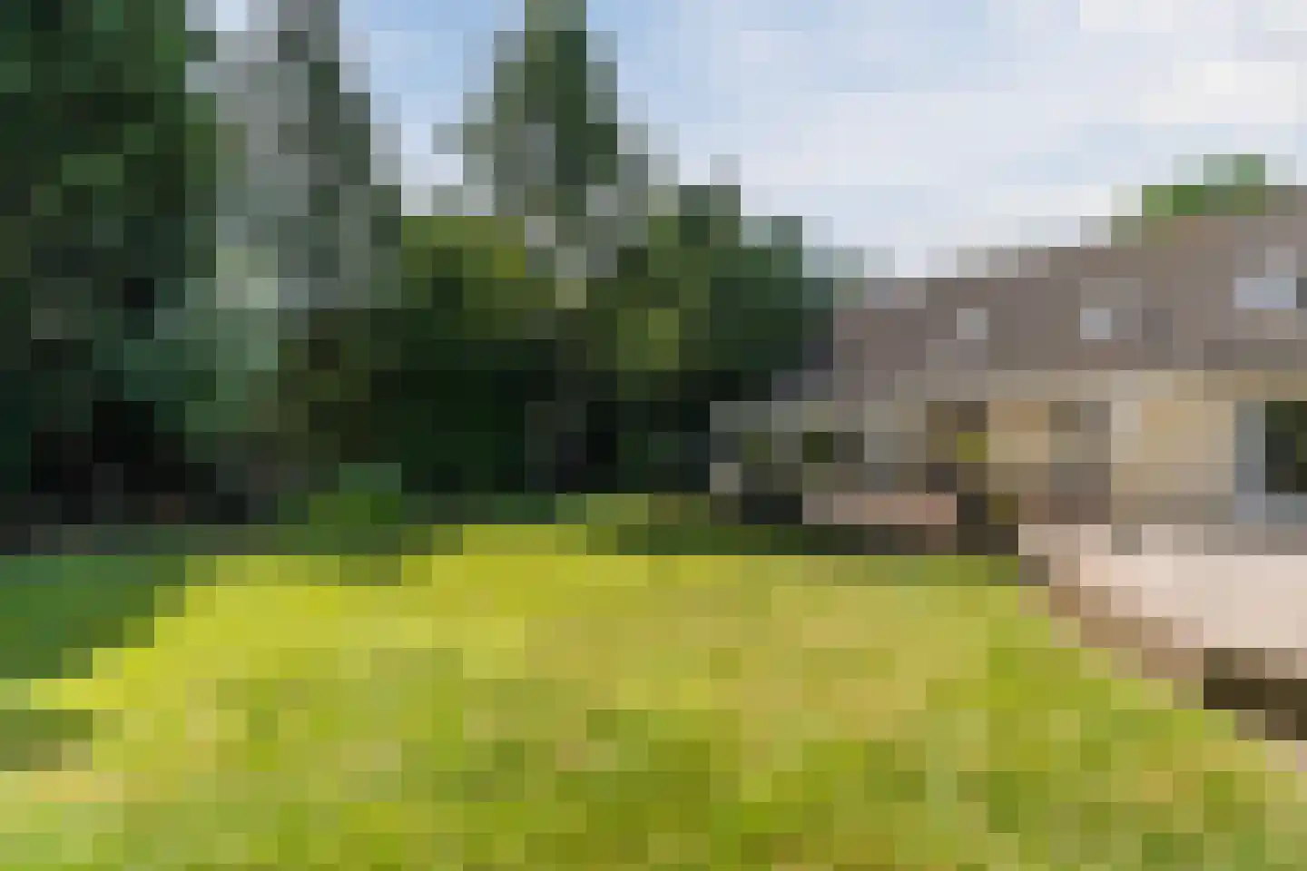Verzetsheldenlaan 4 Eindhoven thumbnail 79