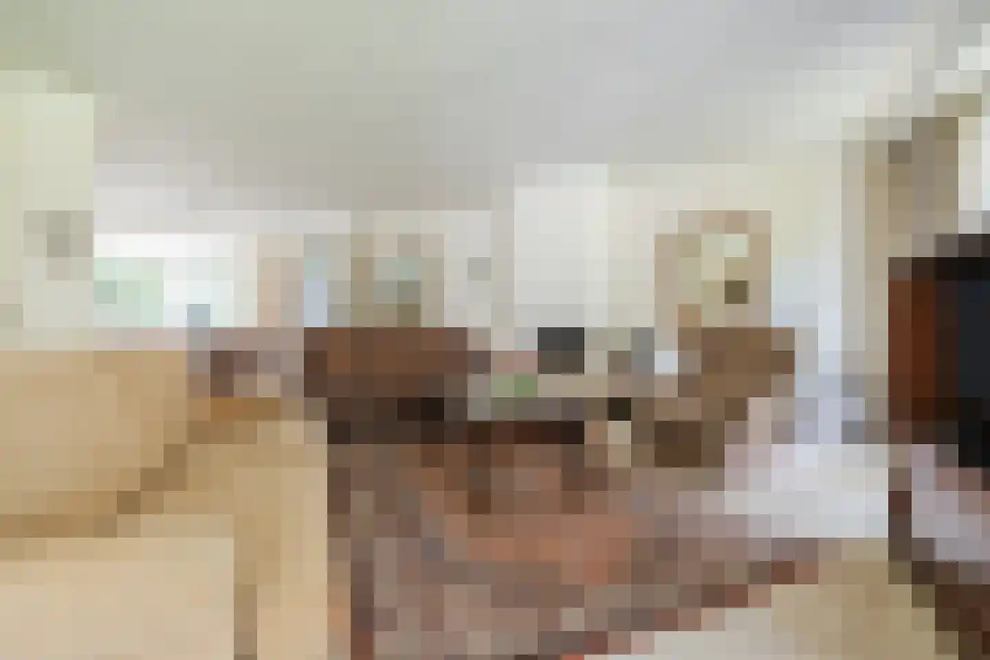 Verzetsheldenlaan 4 Eindhoven thumbnail 8
