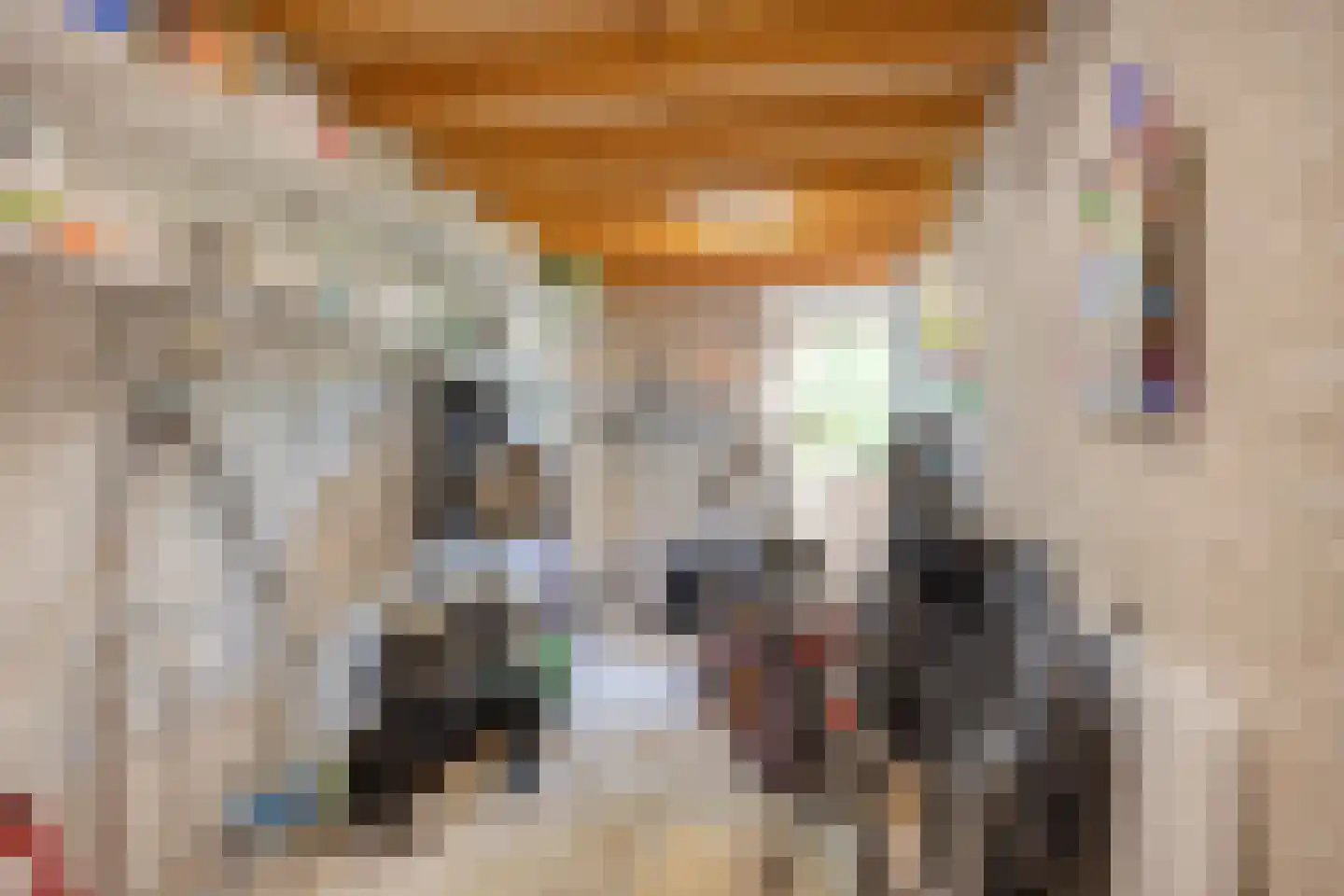 Verzetsheldenlaan 56 Eindhoven thumbnail 15