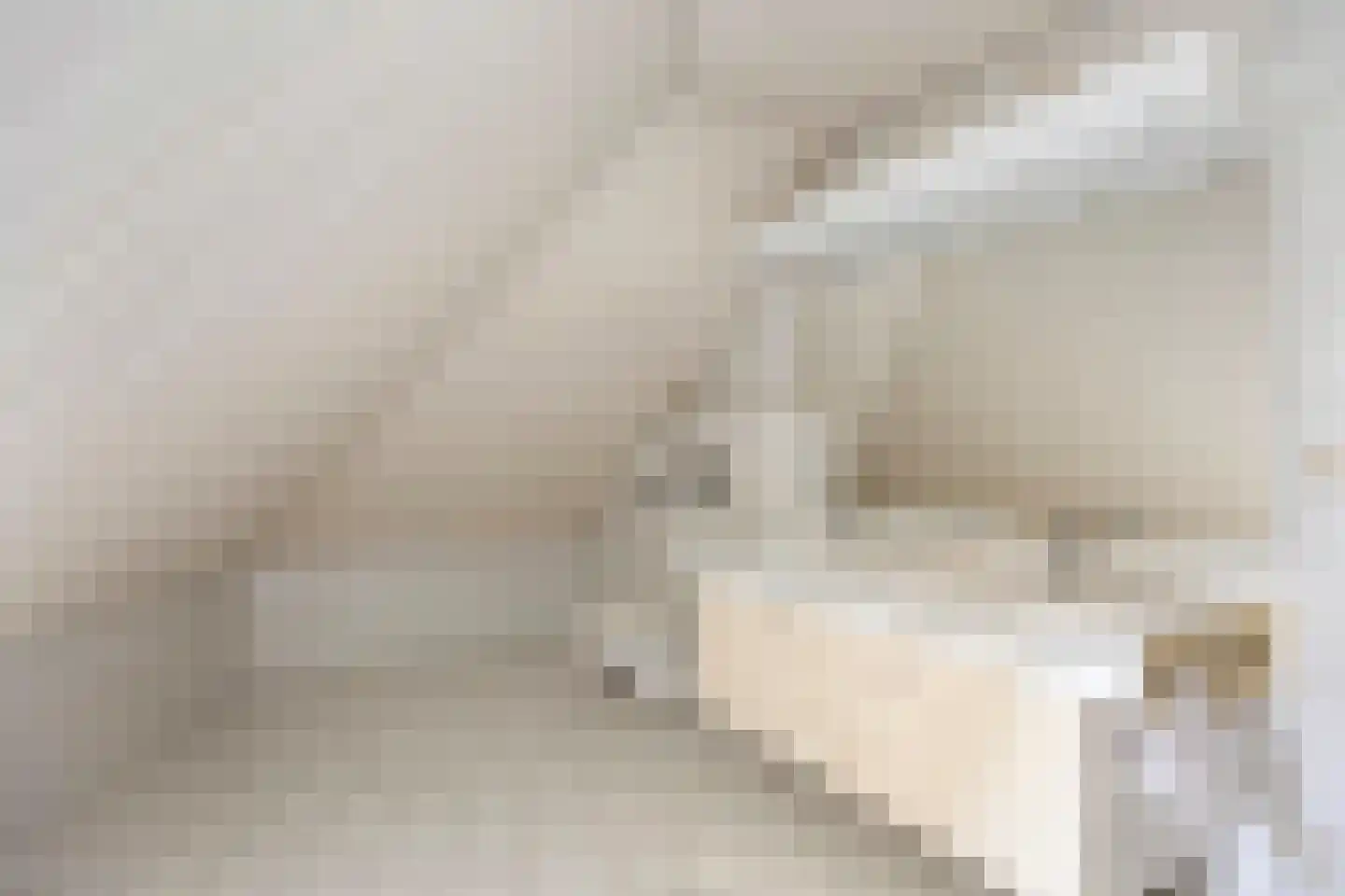 Verzetsheldenlaan 56 Eindhoven thumbnail 25