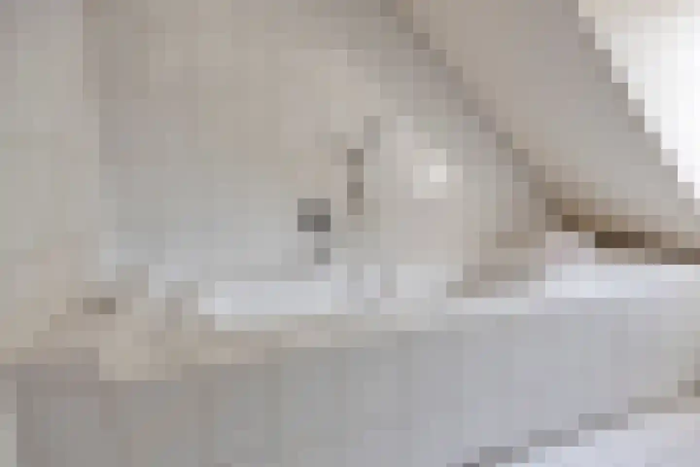 Verzetsheldenlaan 56 Eindhoven thumbnail 28