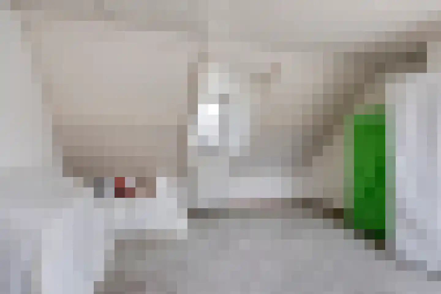 Verzetsheldenlaan 56 Eindhoven thumbnail 29