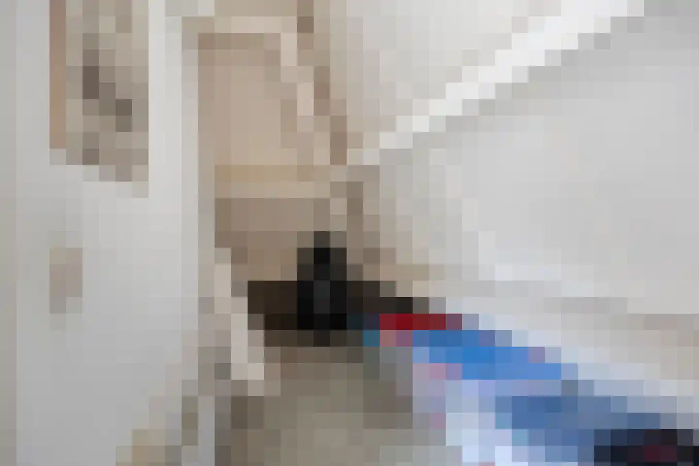 Verzetsheldenlaan 56 Eindhoven thumbnail 31