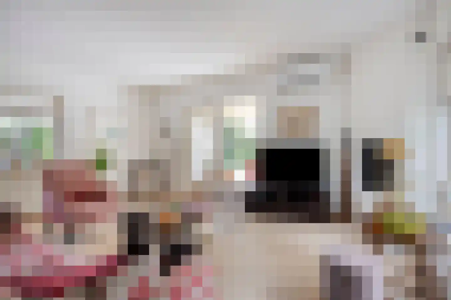 Verzetsheldenlaan 56 Eindhoven thumbnail 5