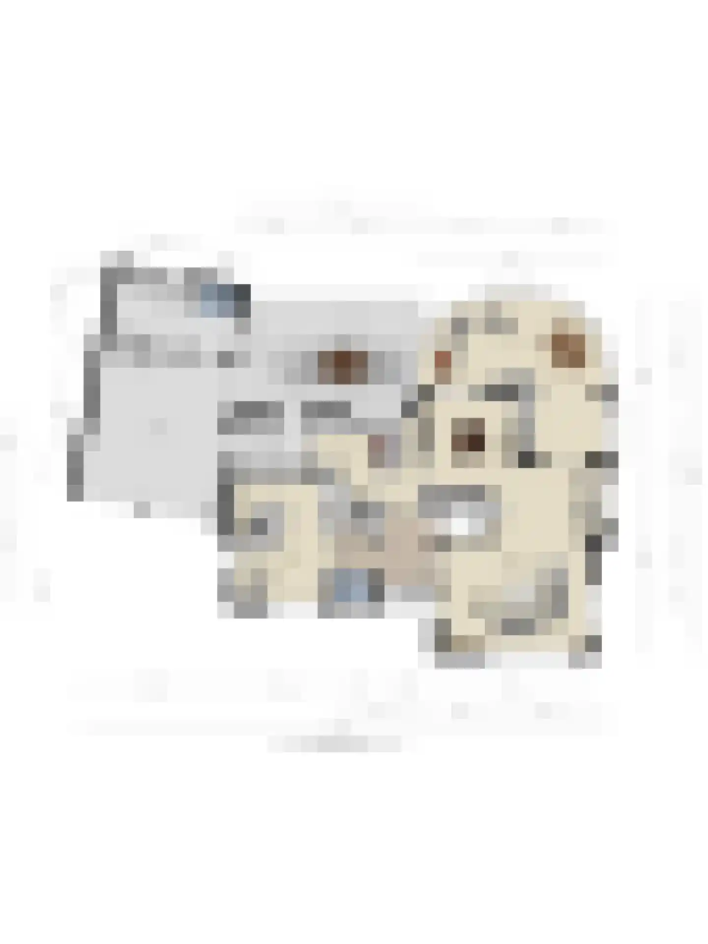 Verzetsheldenlaan 8 Eindhoven thumbnail 112
