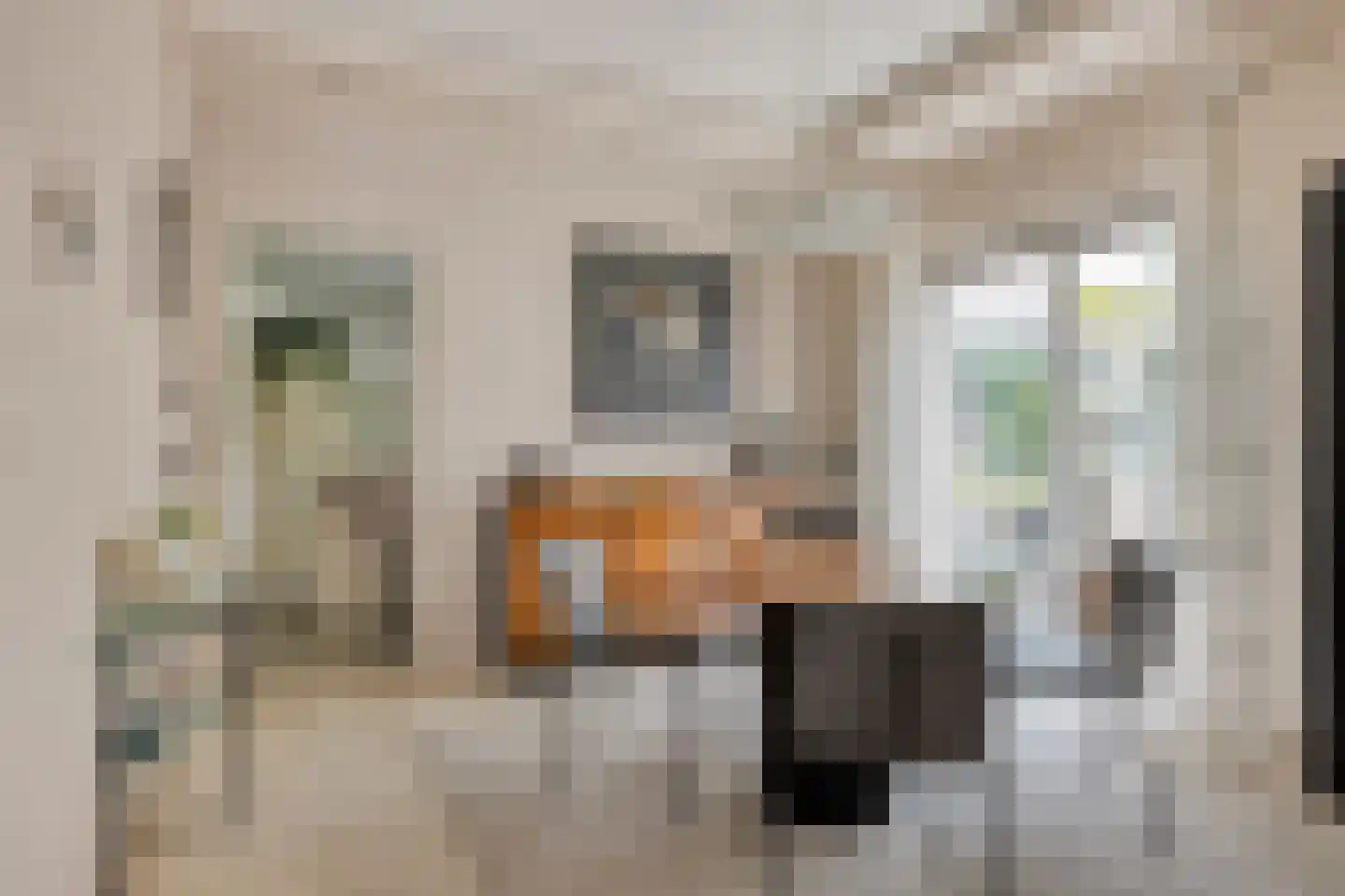 Verzetsheldenlaan 8 Eindhoven thumbnail 24