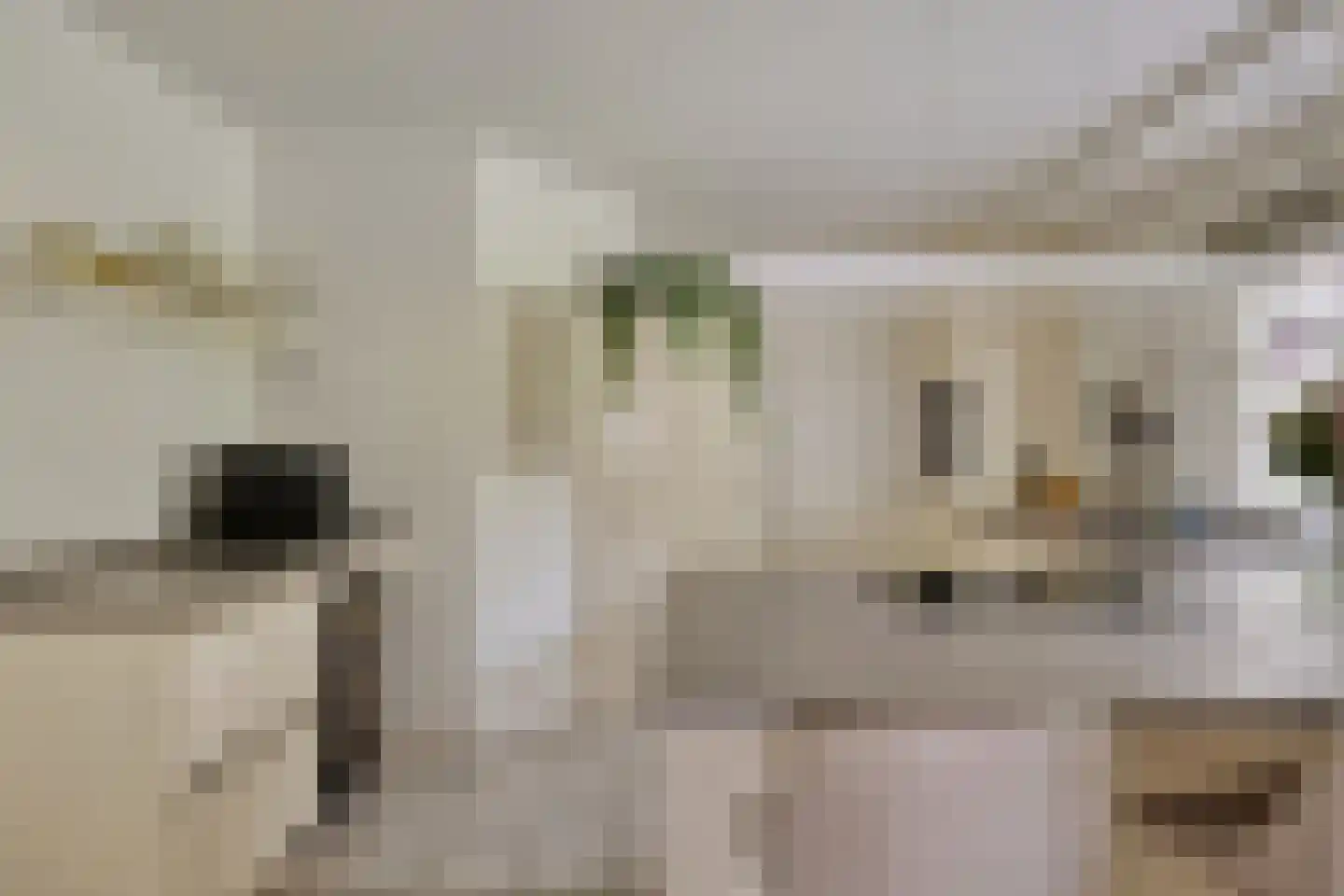 Verzetsheldenlaan 8 Eindhoven thumbnail 36