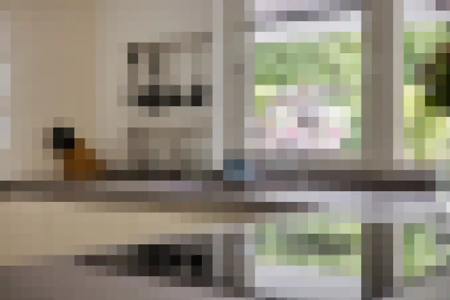 Verzetsheldenlaan 8 Eindhoven thumbnail 40