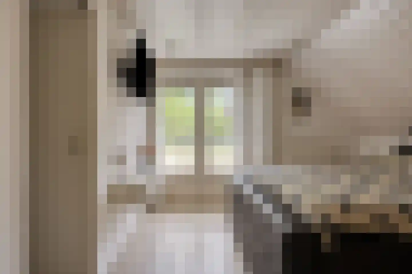 Verzetsheldenlaan 8 Eindhoven thumbnail 76