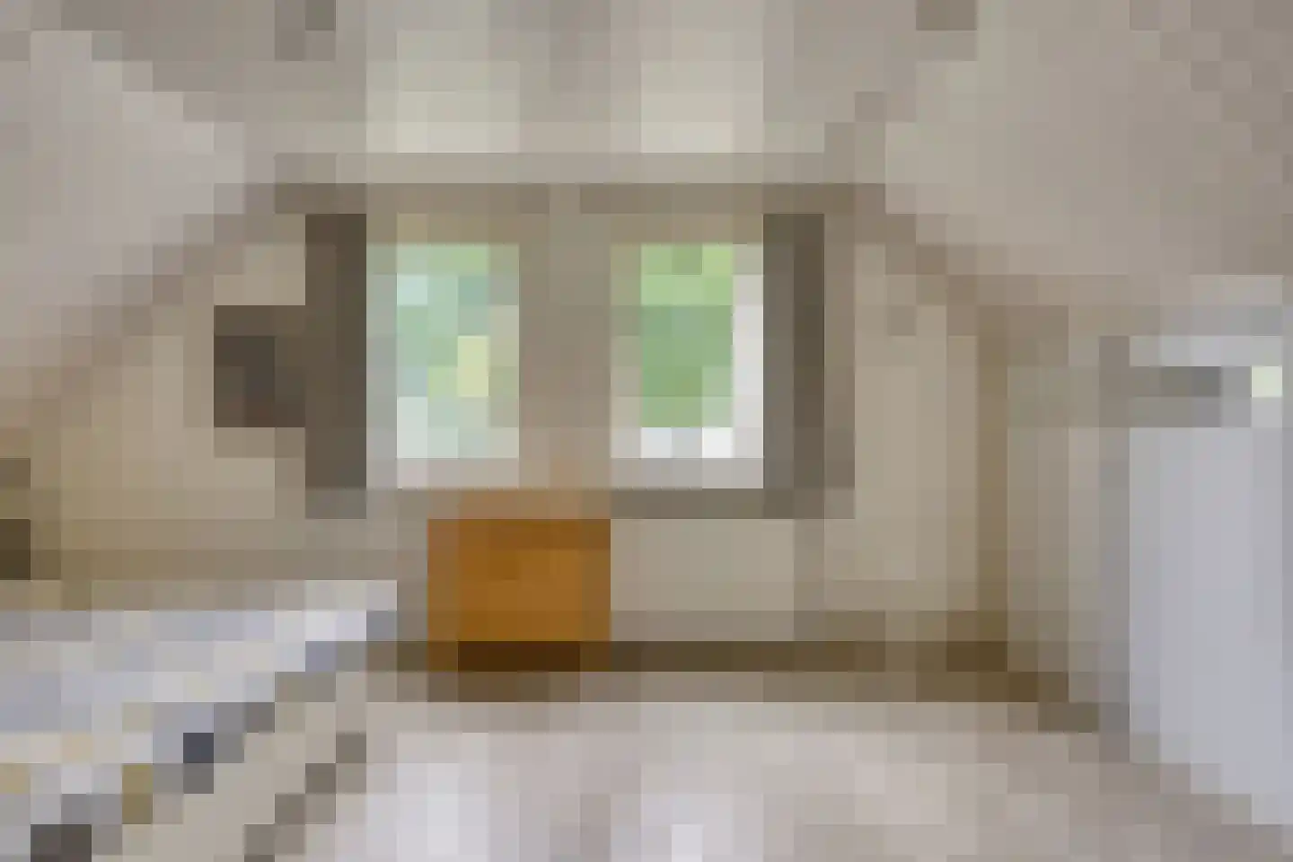 Verzetsheldenlaan 8 Eindhoven thumbnail 87