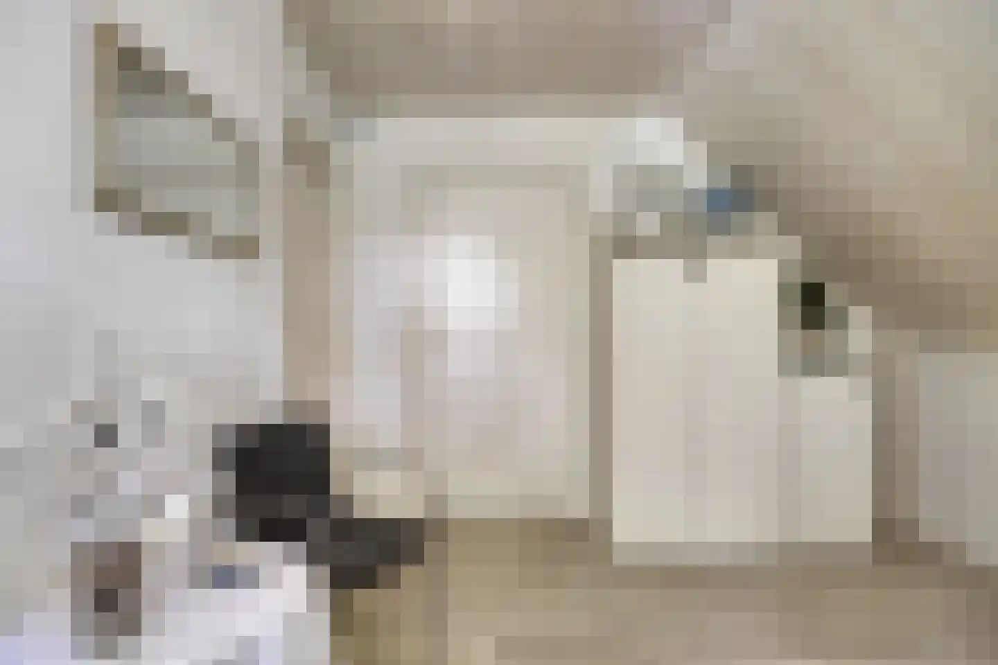 Verzetsheldenlaan 8 Eindhoven thumbnail 98