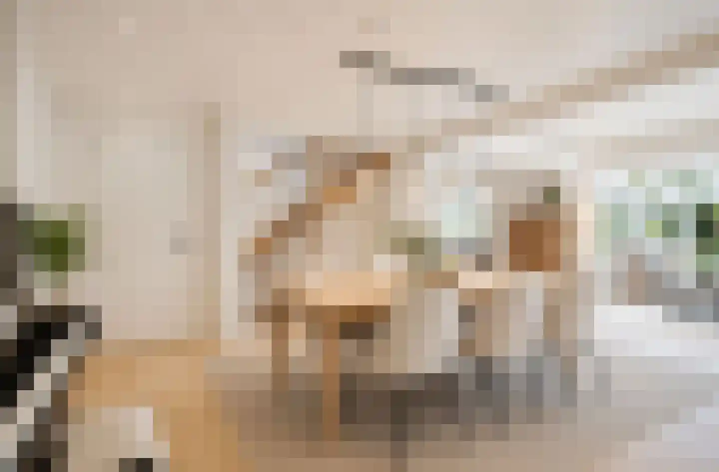 Verzetsheldenlaan 9 Eindhoven thumbnail 10