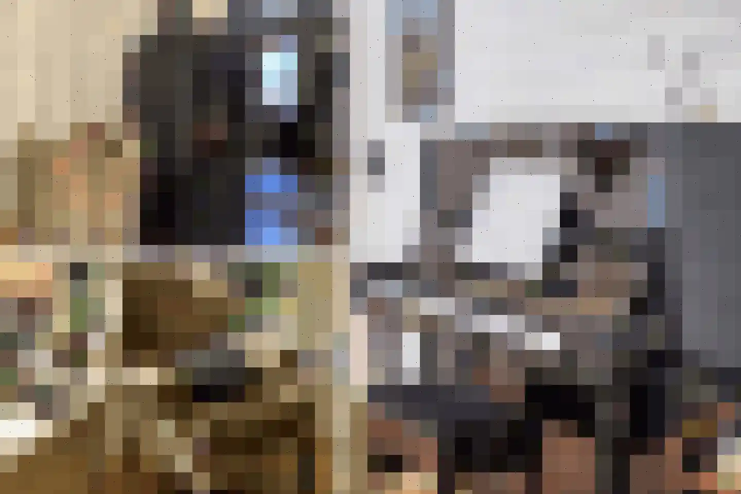 Verzetsheldenlaan 9 Eindhoven thumbnail 19