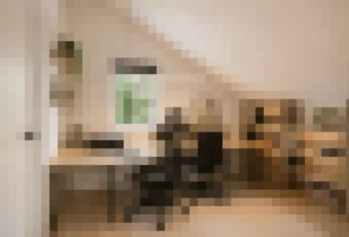 Verzetsheldenlaan 9 Eindhoven thumbnail 25