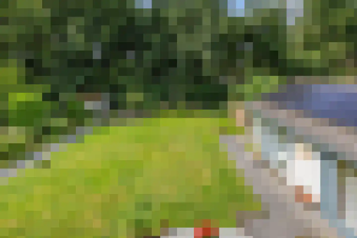 Verzetsheldenlaan 9 Eindhoven thumbnail 28