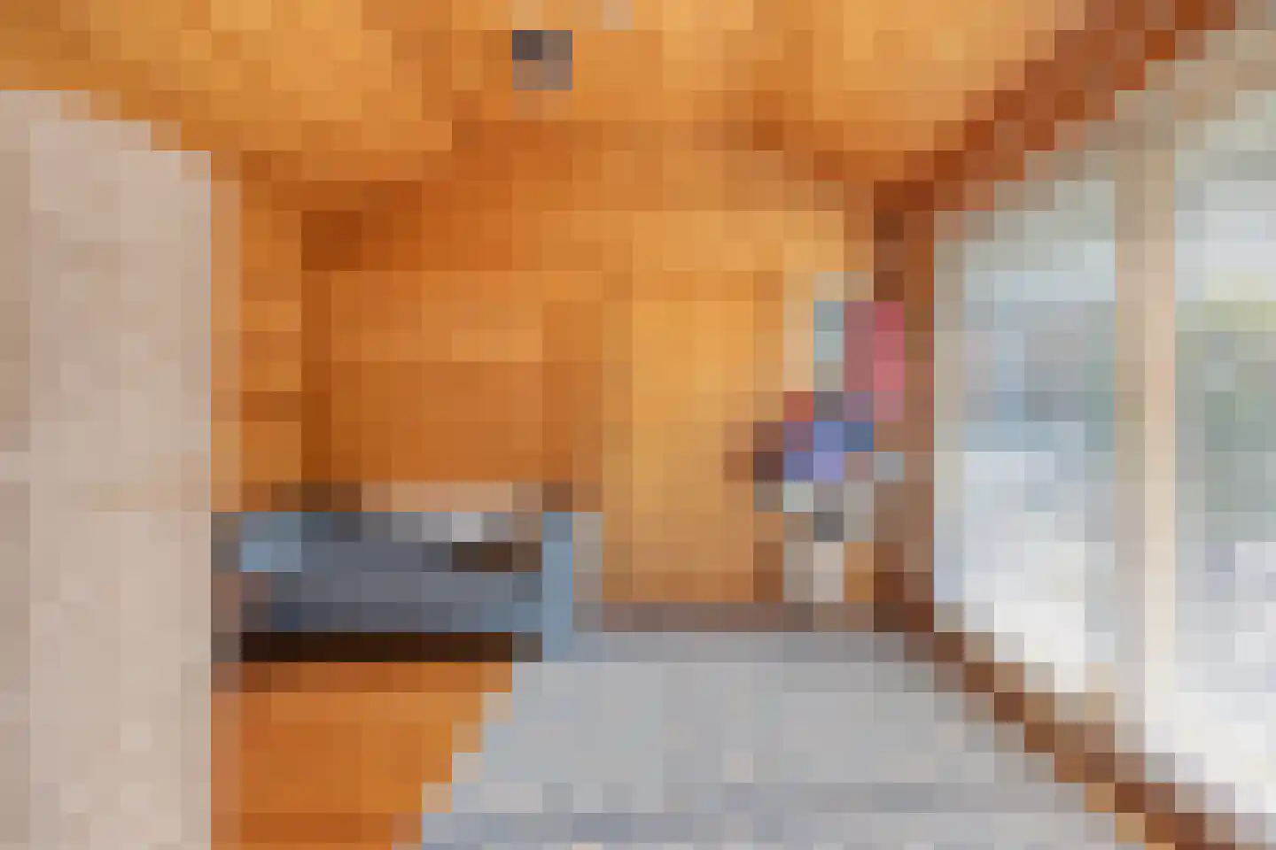 Verzetsheldenlaan 9 Eindhoven thumbnail 36