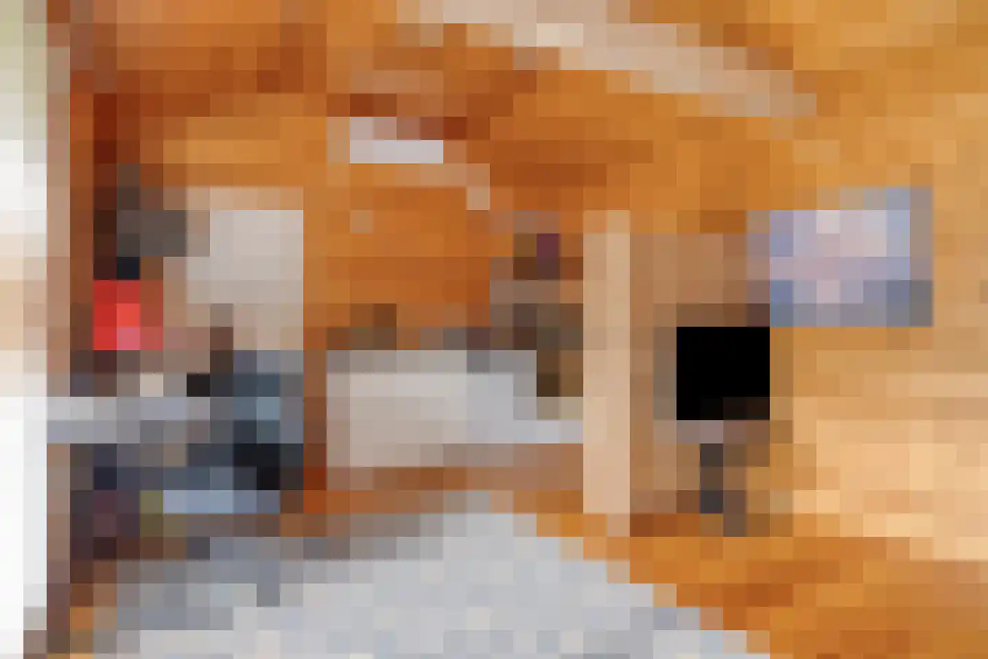 Verzetsheldenlaan 9 Eindhoven thumbnail 37