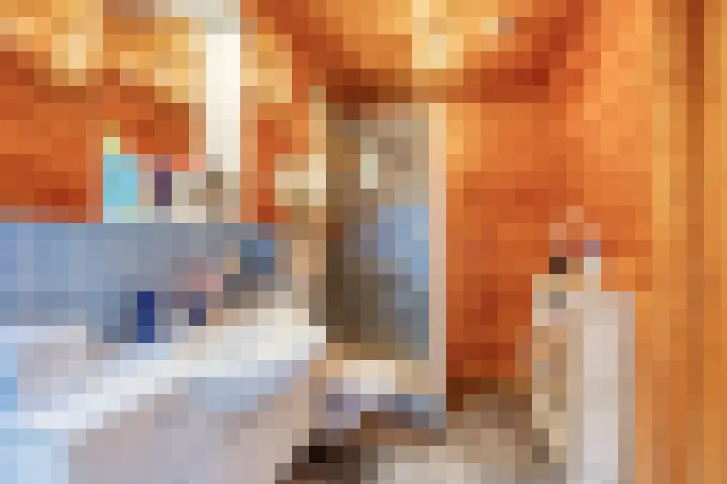 Verzetsheldenlaan 9 Eindhoven thumbnail 40