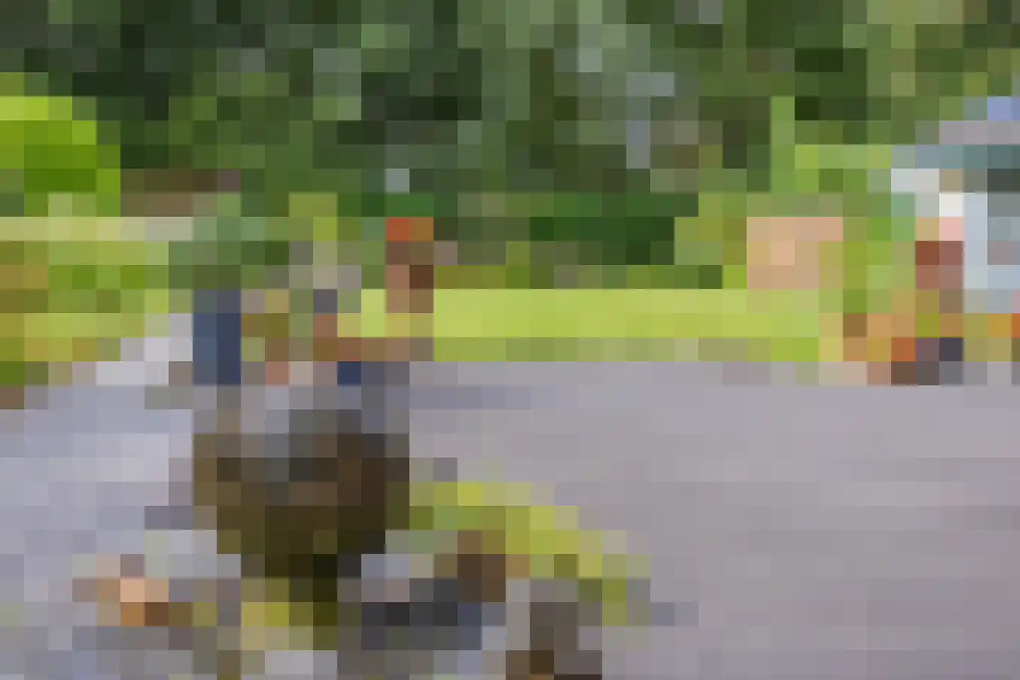 Verzetsheldenlaan 9 Eindhoven thumbnail 46