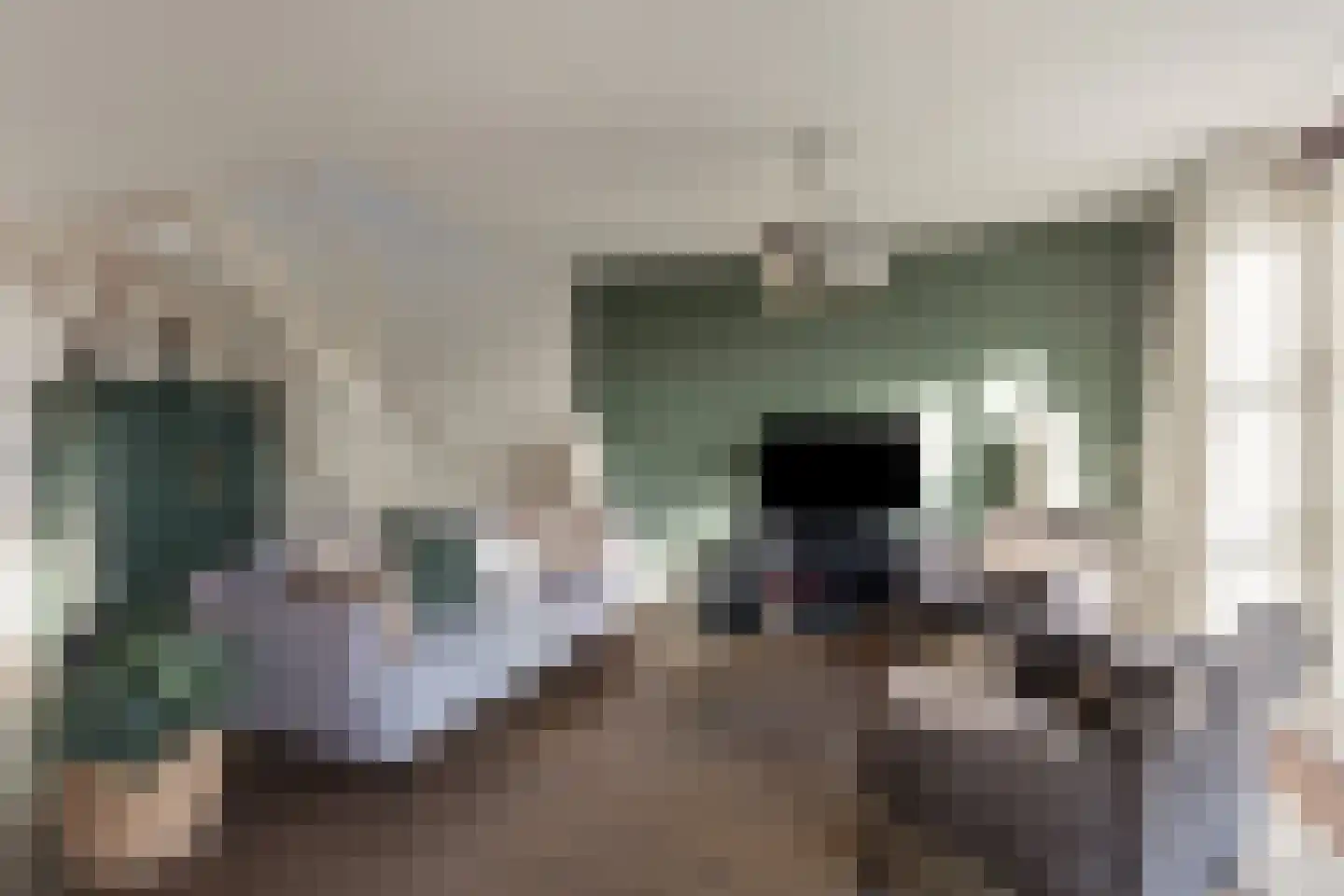Verzetslaan 10 Warmenhuizen thumbnail 10