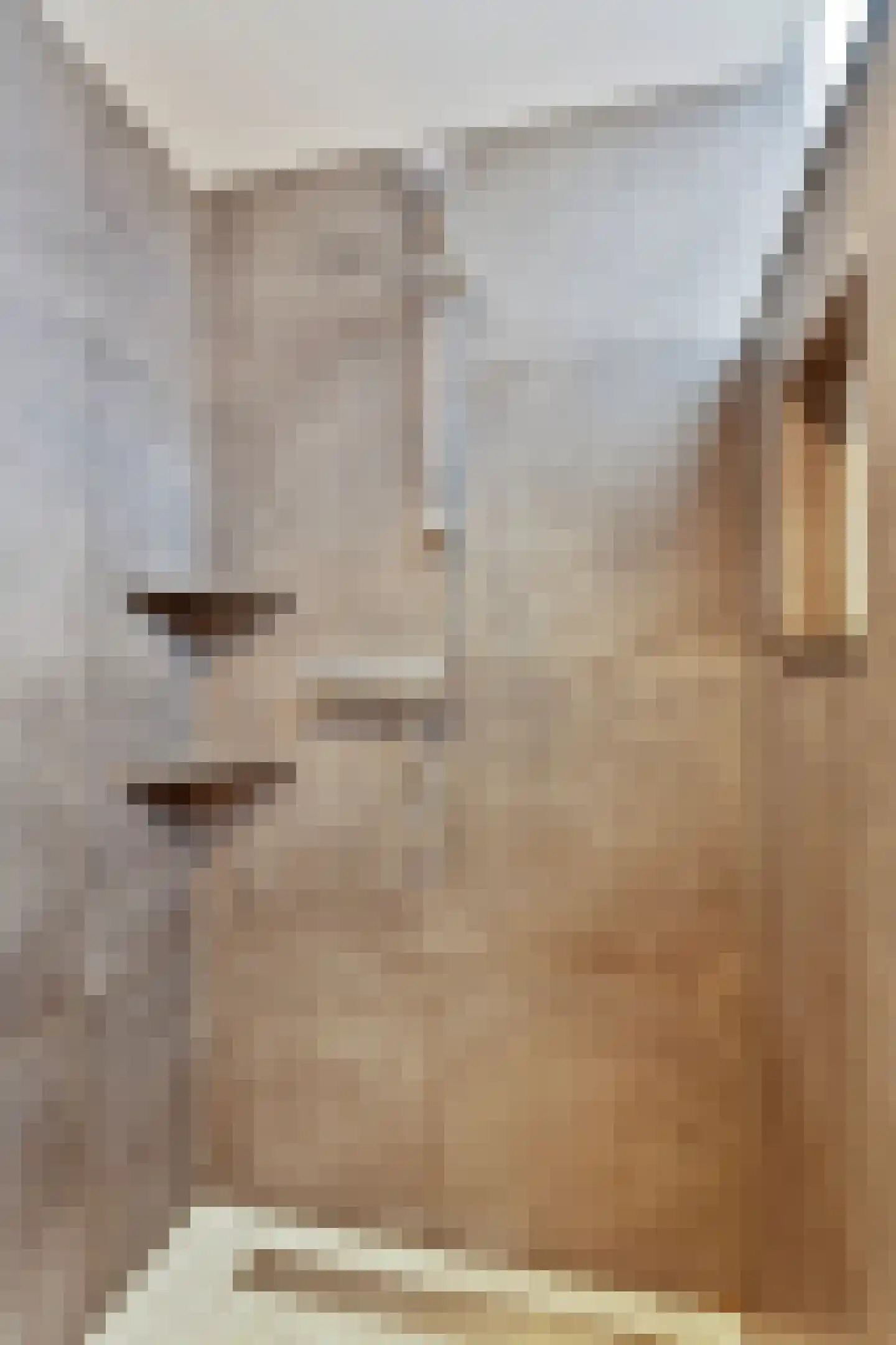 Verzetslaan 10 Warmenhuizen thumbnail 30