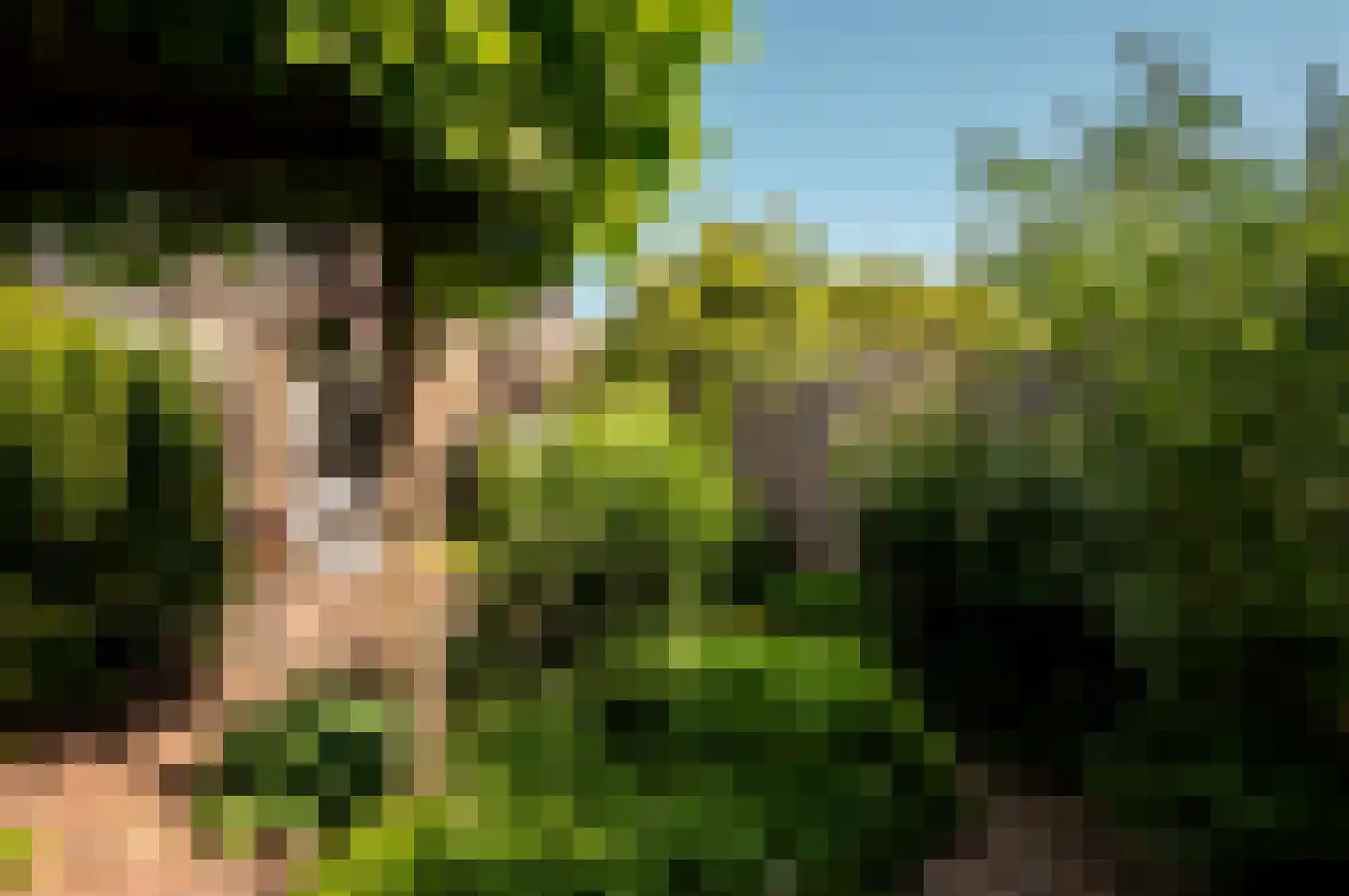 Verzetslaan 114 Almere thumbnail 30